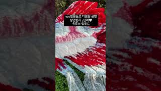 소자본 창업/터프팅공방창업